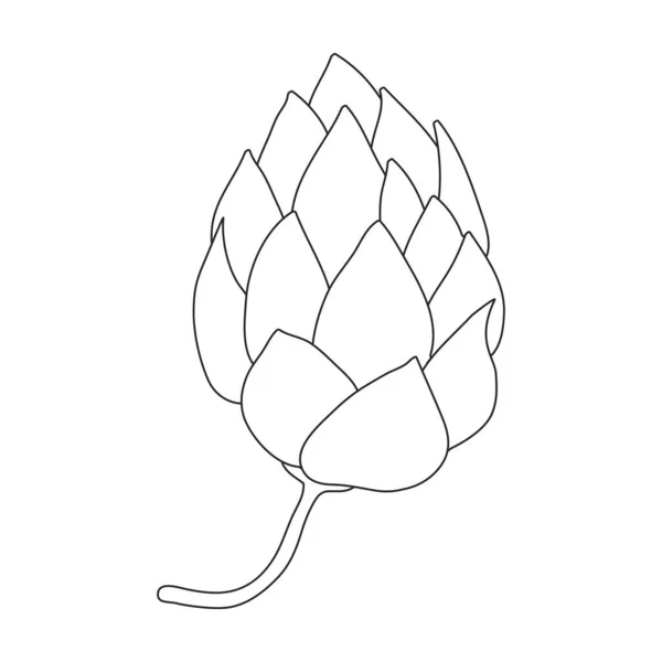 Hop plant vector outline icon. Vector illustration humulus flower on white background. Isolated outline illustration icon of hop plant. — Vetor de Stock