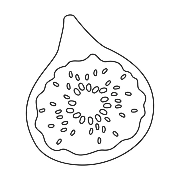 Fig vector outline icon. Vector illustration slice fruit on white background. Isolated outline illustration icon of fig. — Stock vektor