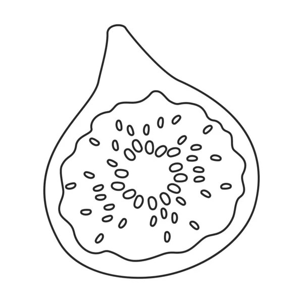 Рисунок векторного контуру піктограма. Векторні ілюстрації зрізають фрукти на білому тлі. Ізольована контурна ілюстрація значка інжиру . — стоковий вектор