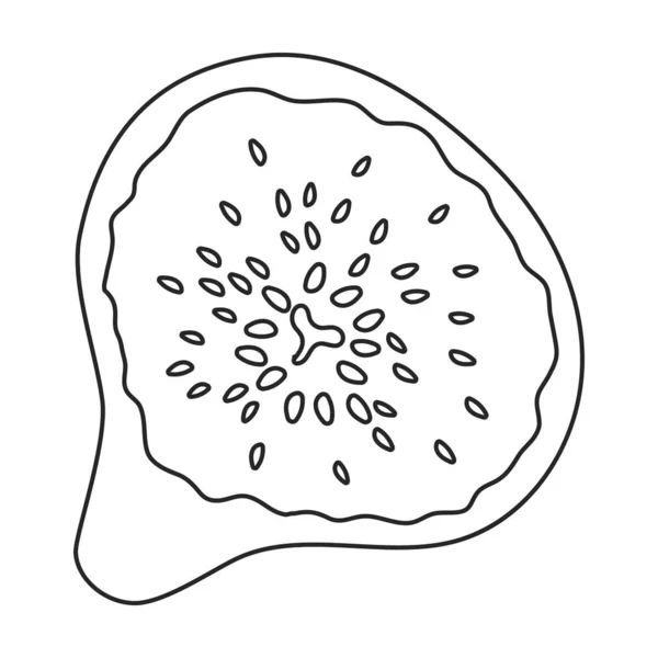 Рисунок векторного контуру піктограма. Векторні ілюстрації зрізають фрукти на білому тлі. Ізольована контурна ілюстрація значка інжиру . — стоковий вектор