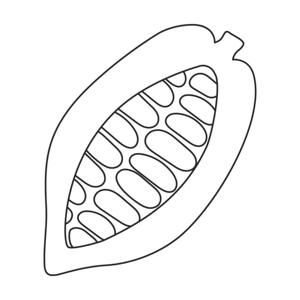 Cocoa bean vector outline icon. Vector illustration cacao on white background. Isolated outline illustration icon of cocoa bean . —  Vetores de Stock