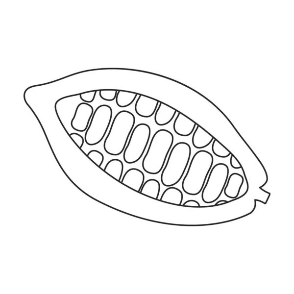 Cocoa bean vector outline icon. Vector illustration cacao on white background. Isolated outline illustration icon of cocoa bean . — Image vectorielle