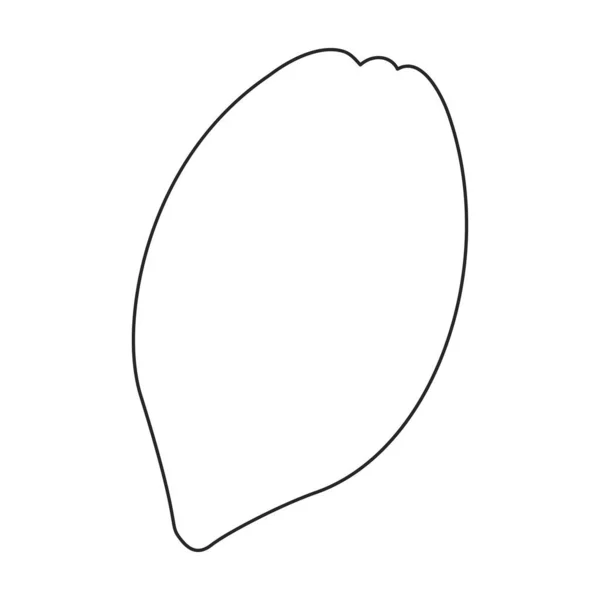 Εικόνα περίγραμμα διάνυσμα κόκκων κακάο. Εικονογράφηση διάνυσμα κακάο σε λευκό φόντο. Μεμονωμένη εικόνα περίγραμμα του κόκκου κακάο . — Διανυσματικό Αρχείο