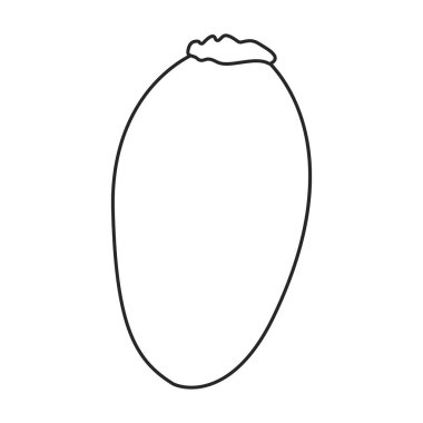 Lychee vector outline icon. Vector illustration litchi on white background. Isolated outline illustration icon of lychee .