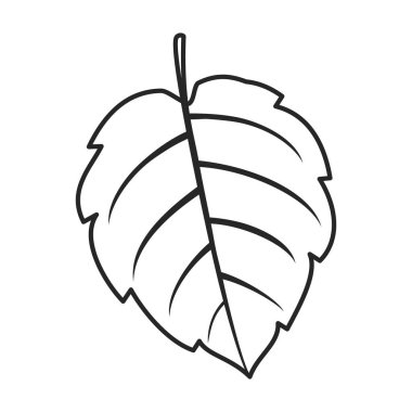 Mint leaf vector outline icon. Vector illustration liaf peppermint on white background. Isolated outline illustration icon of mint.