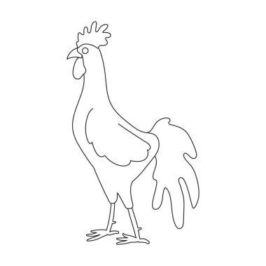 Cock vector outline icon. Vector illustration rooster on white background. Isolated outline illustration icon of cock.