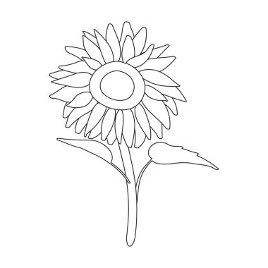 Cock vector outline icon. Vector illustration rooster on white background. Isolated outline illustration icon of cock.