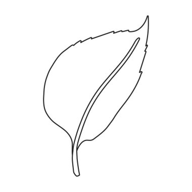 Cock vector outline icon. Vector illustration rooster on white background. Isolated outline illustration icon of cock.