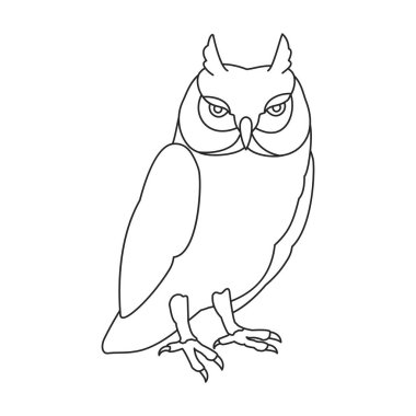 Owl vector outline icon. Vector illustration bird on white background. Isolated outline illustration icon of owl .