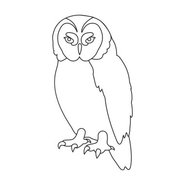 Owl vector outline icon. Vector illustration bird on white background. Isolated outline illustration icon of owl .