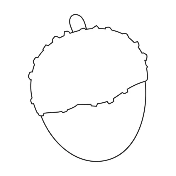 Lychee vector esquema icono. Ilustración vectorial litchi sobre fondo blanco. Icono de ilustración de contorno aislado de lichi . — Vector de stock