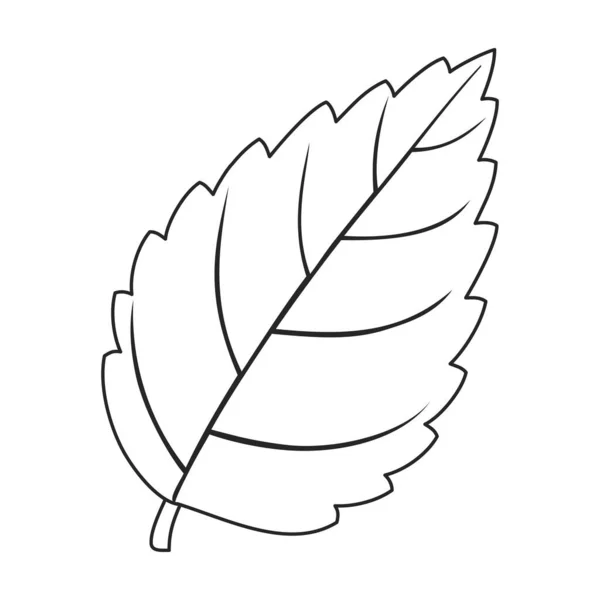 Mint leaf vector outline icon. Vector illustration liaf peppermint on white background. Isolated outline illustration icon of mint. — Stock vektor