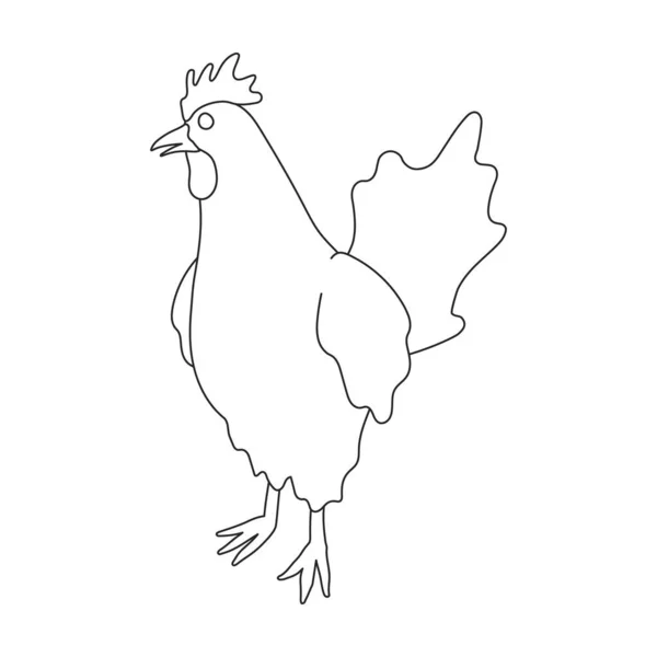 Cock vector outline icon. Vector illustration rooster on white background. Isolated outline illustration icon of cock. — Vettoriale Stock