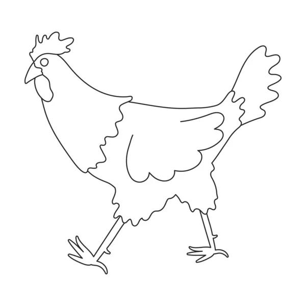 Cock vector outline icon. Vector illustration rooster on white background. Isolated outline illustration icon of cock. — Vettoriale Stock
