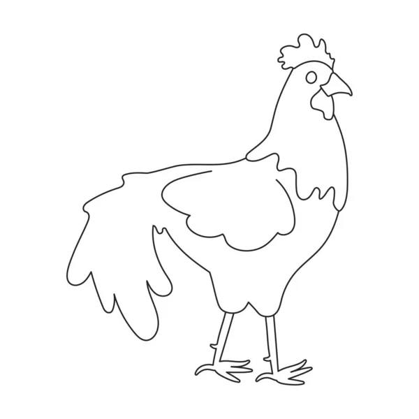 Icono de contorno de vector de polla. Gallo de ilustración vectorial sobre fondo blanco. Icono de ilustración de contorno aislado de polla. — Vector de stock