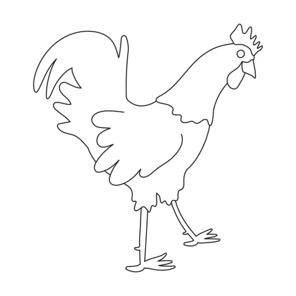 Cock vector outline icon. Vector illustration rooster on white background. Isolated outline illustration icon of cock. — Vettoriale Stock