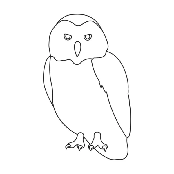 Owl vector outline icon. Vector illustration bird on white background. Isolated outline illustration icon of owl . — Vetor de Stock