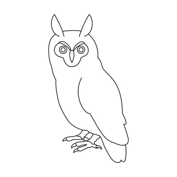 Owl vector outline icon. Vector illustration bird on white background. Isolated outline illustration icon of owl . — Vetor de Stock