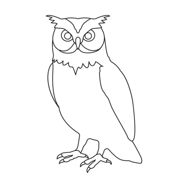 Значок контура вектора совы. Векторная иллюстрация птицы на белом фоне. Изолированный рисунок контура иконки совы . — стоковый вектор