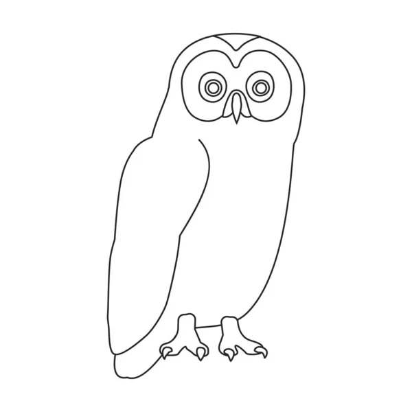 フクロウベクトルアウトラインアイコン。白い背景のベクトルイラスト鳥。フクロウの独立したアウトラインイラストアイコン . — ストックベクタ