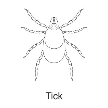 Böcek böceği vektör ana hatları simgesi. Beyaz arkaplanda vektör illüstrasyon böceği var. Böcek ilaçlarının izole edilmiş taslak çizim simgesi .