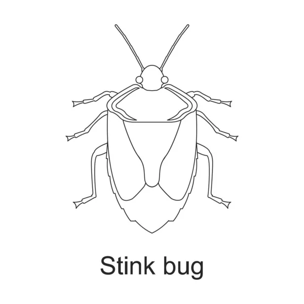 Icône de contour vectoriel insecte scarabée. Illustration vectorielle insecte insecte sur fond blanc. Isolée illustration de contour icône du scarabée ravageur . — Image vectorielle