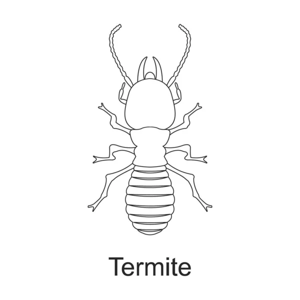 Icône de contour vectoriel insecte scarabée. Illustration vectorielle insecte insecte sur fond blanc. Isolée illustration de contour icône du scarabée ravageur . — Image vectorielle