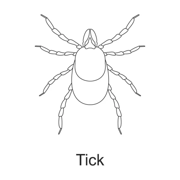 Icône de contour vectoriel insecte scarabée. Illustration vectorielle insecte insecte sur fond blanc. Isolée illustration de contour icône du scarabée ravageur . — Image vectorielle