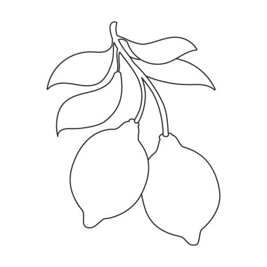 Limon vektör taslak simgesi. Beyaz arka planda vektör illüstrasyon narenciyesi. İzole edilmiş taslak çizimi limon resimleme simgesi .