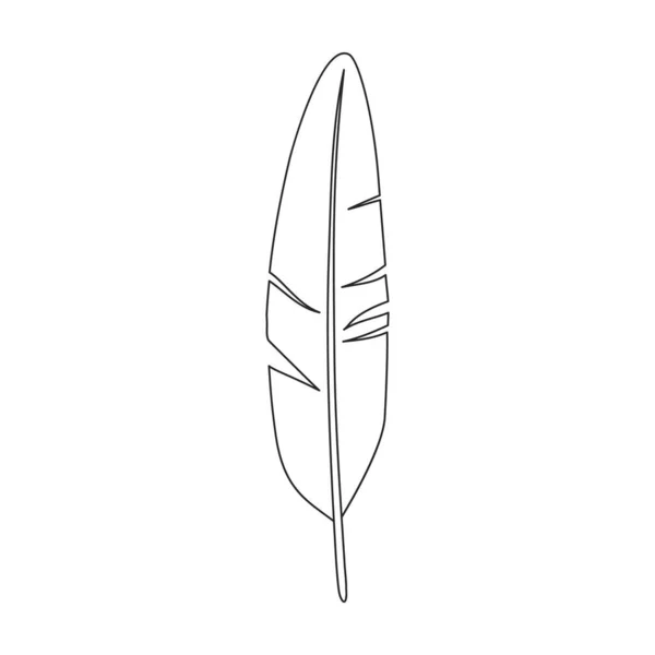Icône de contour vectoriel oiseau plume. Plume d'illustration vectorielle sur fond blanc. Isolée illustration de contour icône d'oiseau plume . — Image vectorielle