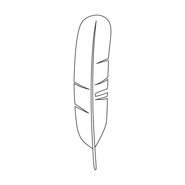 Icône de contour vectoriel oiseau plume. Plume d'illustration vectorielle sur fond blanc. Isolée illustration de contour icône d'oiseau plume . — Image vectorielle