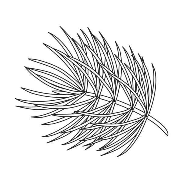 Pine cone vector outline icoon. Vector illustratie dennenappel op witte achtergrond. Geïsoleerde schets illustratie icoon van kegel spar. — Stockvector