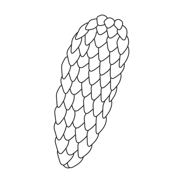 Значок контура вектора конуса сосны. Векторная иллюстрация сосновой шишки на белом фоне. Изолированный контур иконки конусной ели. — стоковый вектор