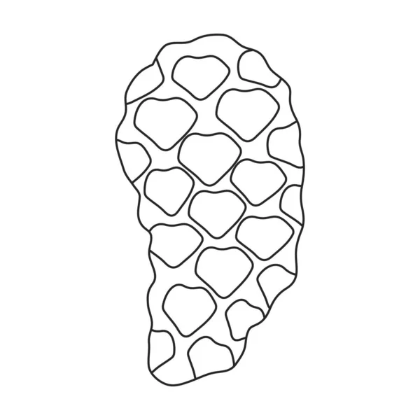Значок контура вектора конуса сосны. Векторная иллюстрация сосновой шишки на белом фоне. Изолированный контур иконки конусной ели. — стоковый вектор
