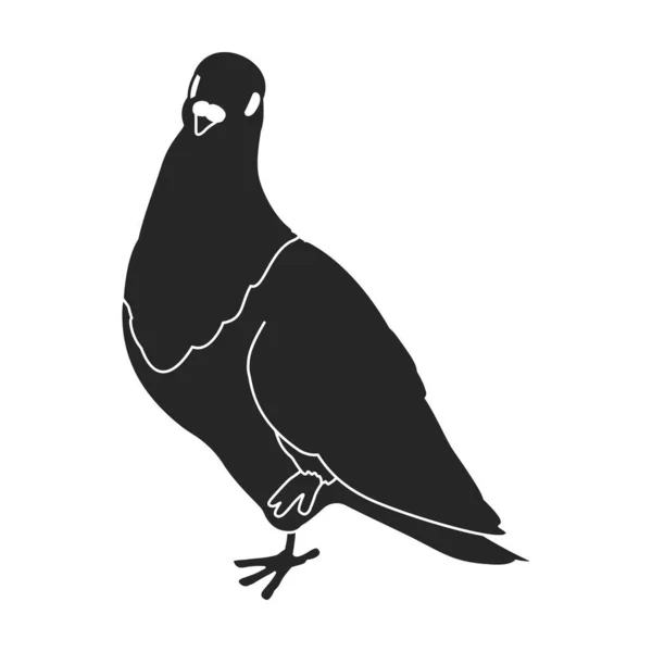 Güvercin vektör simgesi. Siyah vektör simgesi beyaz arka planda izole edildi. — Stok Vektör