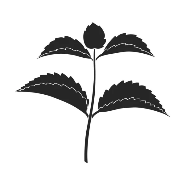 Mint leaf black vector icon.Black vector illustration fresh peppermint. Isolated illustration of mint leaf icon on white background. — Stock Vector