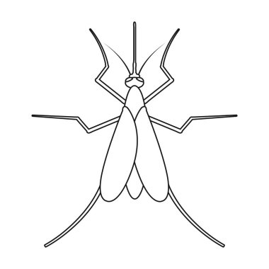 Parazitler sivrisinek vektör simgesi. Beyaz arkaplan parazitleri üzerinde izole edilmiş dış hat vektör simgesi..