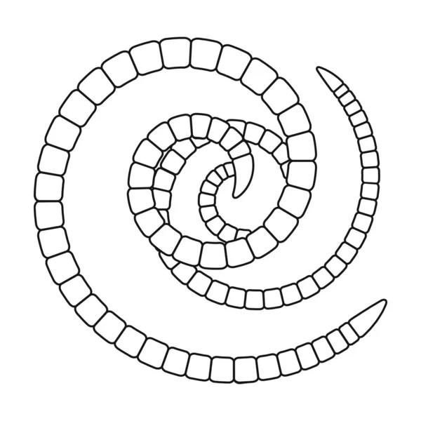 Parassiti worm vettoriale icon.Outline icona vettoriale isolato su parassiti sfondo bianco. — Vettoriale Stock