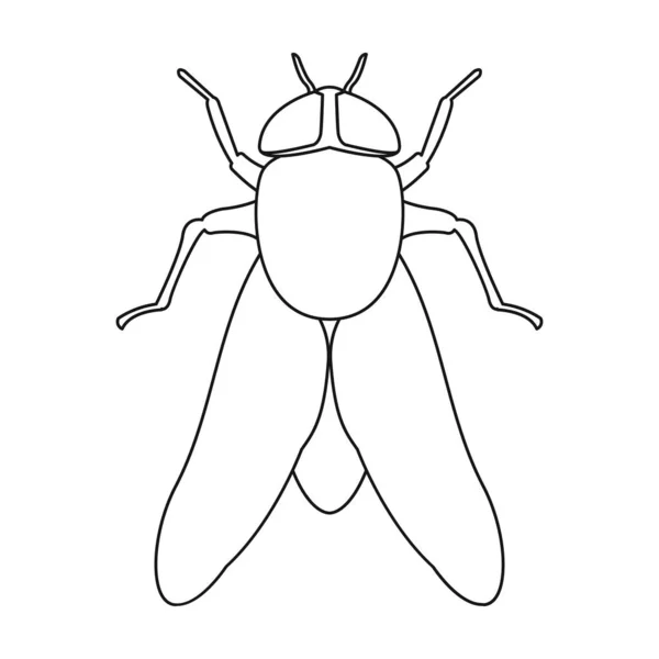 Parasites fly vector icon.Outline vector icon isolated on white background parasites. — Stock Vector