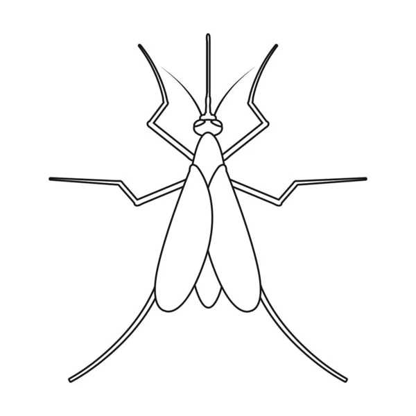 Icône vecteur de moustiques Parasites Décrivez l'icône vectorielle isolée sur fond blanc parasites de moustiques. — Image vectorielle