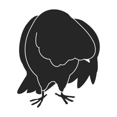 Güvercin vektör simgesi. Siyah vektör simgesi beyaz arka planda izole edildi.