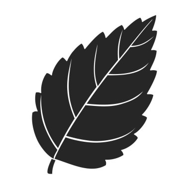 Nane yaprağı siyah vektör simgesi. Siyah vektör illüstrasyonu taze nane. Beyaz arkaplandaki nane yaprağı simgesinin izole edilmiş çizimi.