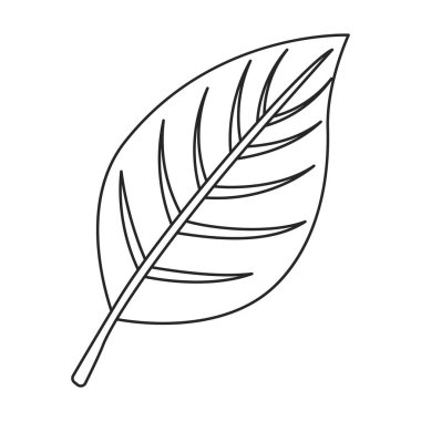 Armut vektör simgesi. Beyaz armut üzerinde izole edilmiş taslak vektör simgesi.