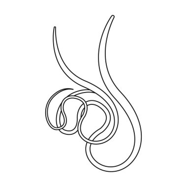 Parazitler solucan vektör simgesi. Beyaz arkaplan parazitleri üzerinde izole edilmiş ana vektör simgesi..