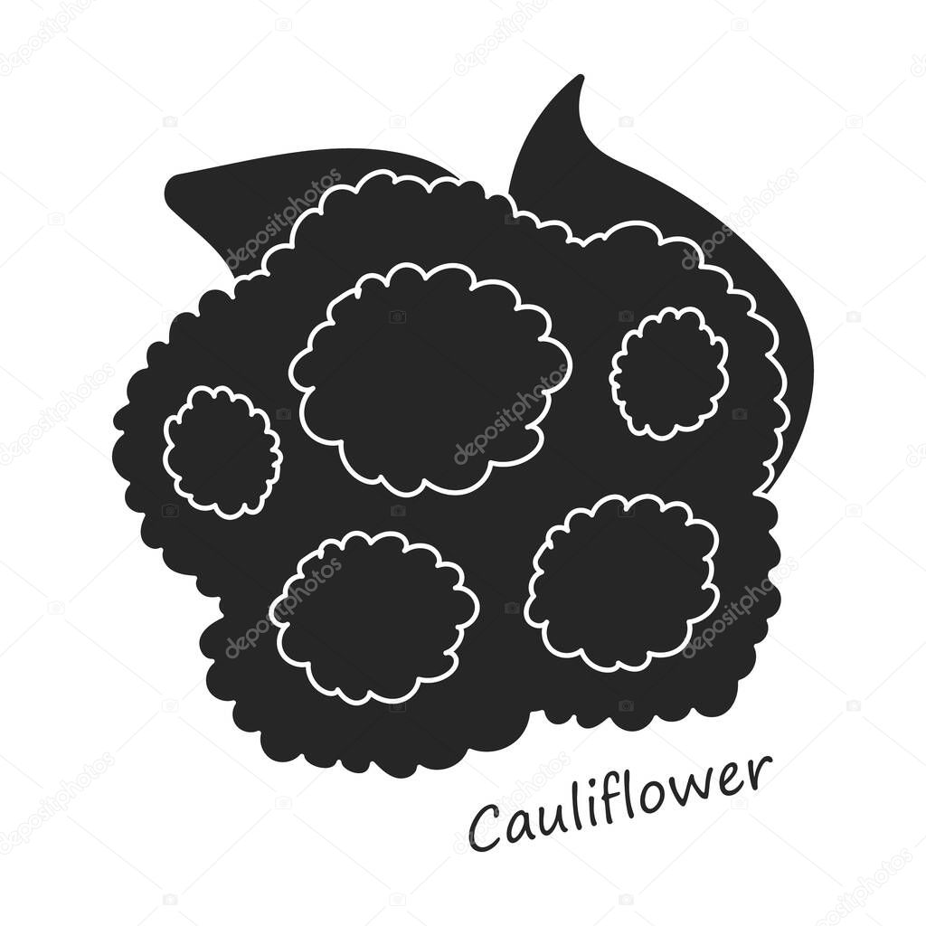 Lettuce and salad black vector of icon.Black vector illustration leaf of lettuce. Isolated illustration leaf of salad icon.