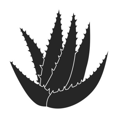 Aloe vera vektör simgesi. Siyah vektör simgesi beyaz arkaplan aloe verasında izole edildi.