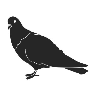 Güvercin vektör simgesi. Siyah vektör simgesi beyaz arka planda izole edildi.