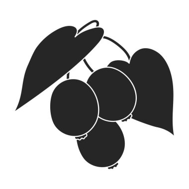 Kivi vektör simgesi. Siyah vektör simgesi beyaz arkaplan kivisinde izole edildi.