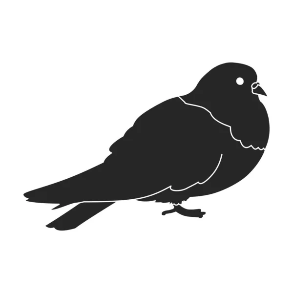 Ícone vetorial Dove icon.Black vetor isolado no fundo branco pomba. —  Vetores de Stock