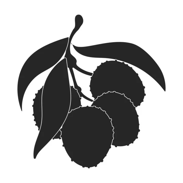 Lychee icono vectorial. Icono vectorial negro aislado sobre fondo blanco lichi. — Vector de stock